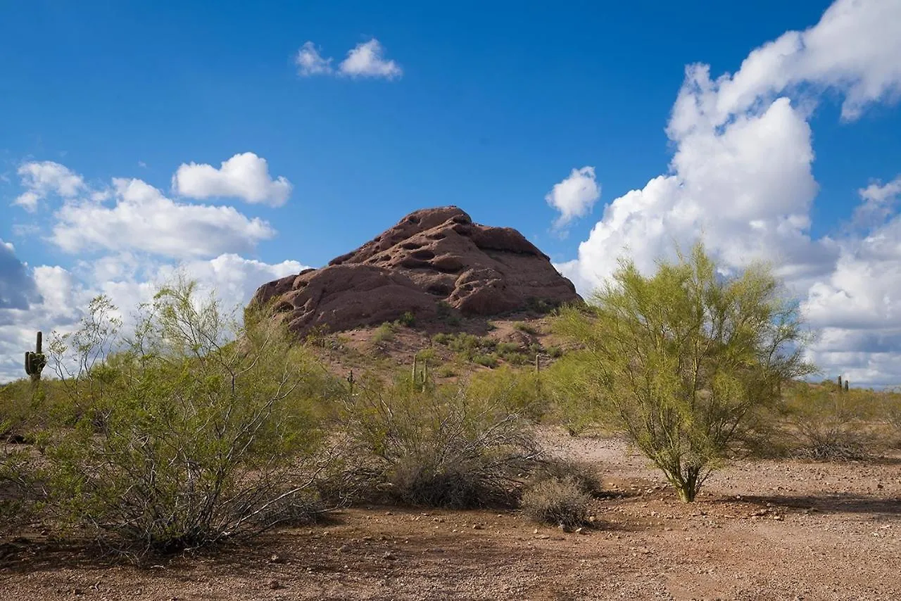 Appartamento 238- Fully Furnished, Wifi Included Scottsdale 0*,  Stati Uniti
